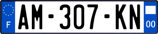 AM-307-KN