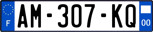 AM-307-KQ