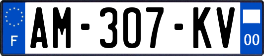 AM-307-KV