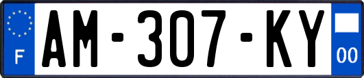 AM-307-KY