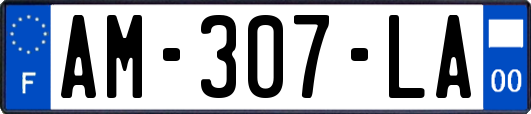 AM-307-LA