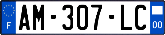 AM-307-LC