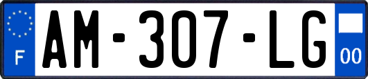 AM-307-LG