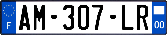 AM-307-LR