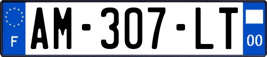 AM-307-LT