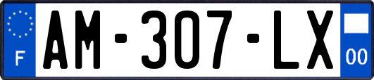 AM-307-LX