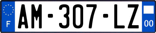 AM-307-LZ
