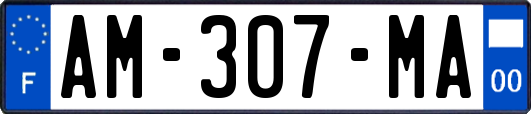 AM-307-MA