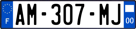 AM-307-MJ