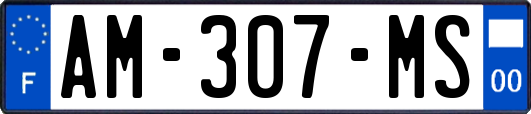 AM-307-MS