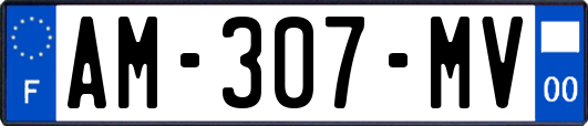 AM-307-MV