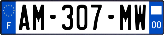 AM-307-MW