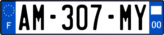 AM-307-MY