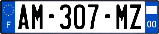 AM-307-MZ