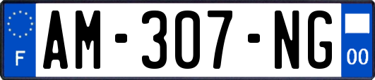 AM-307-NG