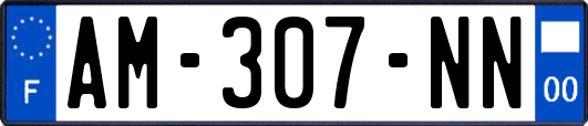 AM-307-NN