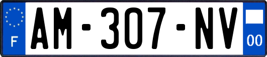 AM-307-NV
