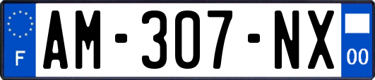 AM-307-NX