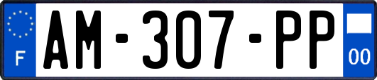AM-307-PP