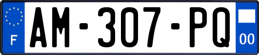 AM-307-PQ