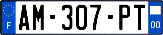 AM-307-PT