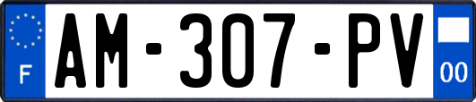 AM-307-PV
