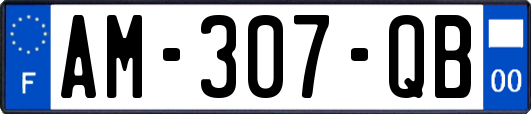 AM-307-QB