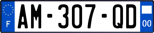 AM-307-QD