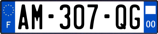 AM-307-QG