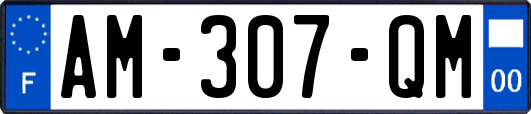 AM-307-QM