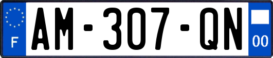 AM-307-QN