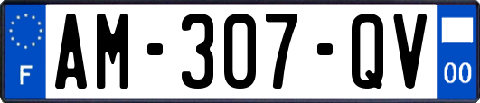AM-307-QV