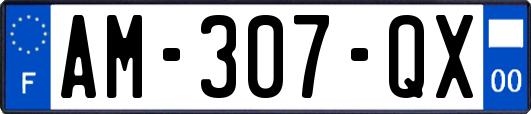 AM-307-QX