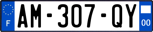 AM-307-QY