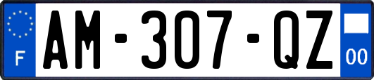 AM-307-QZ