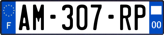 AM-307-RP