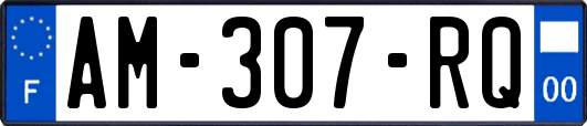 AM-307-RQ