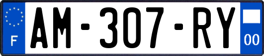 AM-307-RY