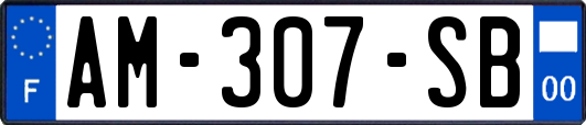 AM-307-SB