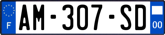 AM-307-SD