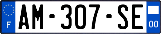 AM-307-SE