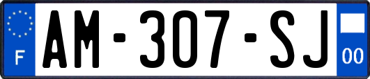 AM-307-SJ