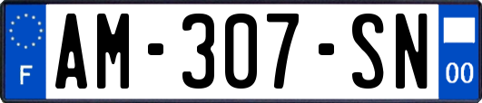 AM-307-SN