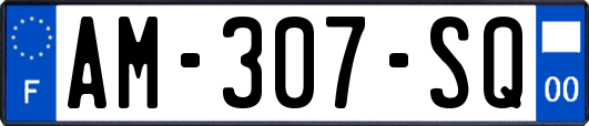 AM-307-SQ