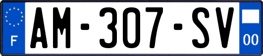 AM-307-SV