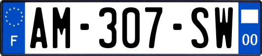 AM-307-SW