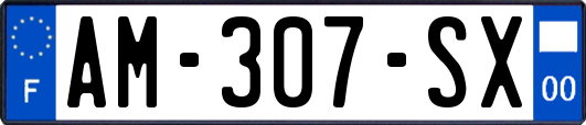 AM-307-SX