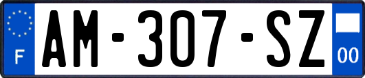 AM-307-SZ