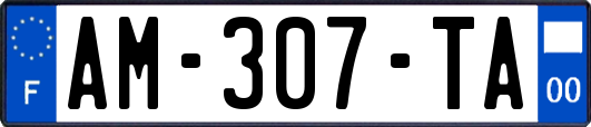 AM-307-TA