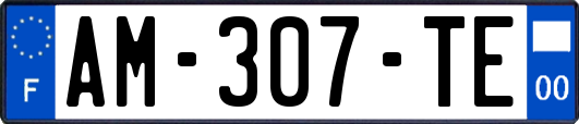 AM-307-TE